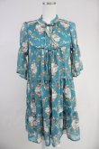 画像1: axes femme / 花柄シフォンチュニック  グリーン T-25-10-19-012-AX-TO-SA-ZI (1)