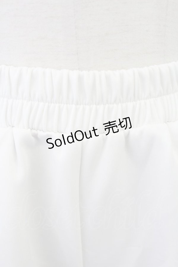 画像5: ACDC RAG / 月ジャージショーパン  白Ｘサックス T-25-10-30-036-PU-PA-SA-ZI (5)