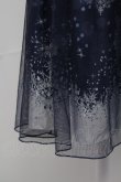 画像5: axes femme / チュール重ね結晶柄チュニ  ネイビー T-25-11-15-036-AX-OP-SA-ZI (5)