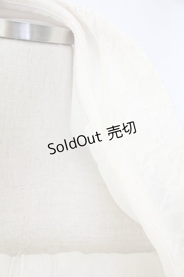 画像3: axes femme / レーススリーブブラウス  アイボリー T-25-11-28-003-AX-BL-SA-ZT (3)