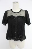 画像1: axes femme POETIQUE / ドットチュール&レース切り替え半袖トップス  黒 T-25-12-03-022-AX-TO-SA-ZT (1)