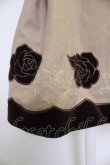 画像3: axes femme POETIQUE / 薔薇ベロア刺繍ミニスカート  ブラウン T-25-12-03-035-AX-SK-SA-ZT (3)