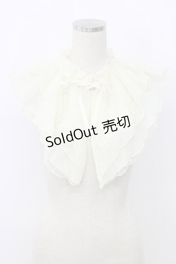 画像1: axes femme / レースつけ襟  アイボリー T-25-12-22-042-AX-ZA-SA-ZT450 (1)