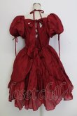 画像2: Bramble Rose / フラワーモチーフラメオーガンジー半袖ワンピース  ボルドー T-25-12-31-014-0-OP-SA-ZT (2)
