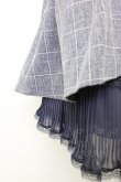 画像4: Secret Honey / チェックリボンスカート  ネイビーＸ白チェック T-26-02-03-027-CA-SK-SA-ZT (4)