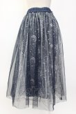 画像2: axes femme / ホロスコープ刺繍チュールスカート  ネイビー T-26-02-08-030-AX-SK-SA-ZT (2)