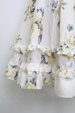 画像3: axes femme / 薔薇柄プリーツフリルスカート  キナリ T-26-02-15-005-AX-SK-SA-ZT (3)