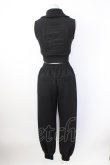 画像2: Melt the lady / body jersey set Vlll  ブラック T-26-02-20-032-PU-JA-SA-ZT (2)