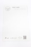 画像4: Fi.n.t / オリジナルポストカード10枚セット  - T-26-02-21-014-CA-ZA-IG-ZT (4)