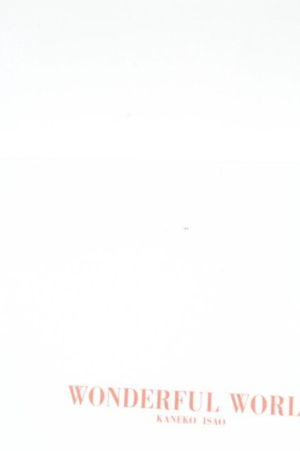 画像6: WONDERFUL WORLD / 金魚ネックレス  赤 T-26-02-24-034-LO-AC-SA-ZT (6)