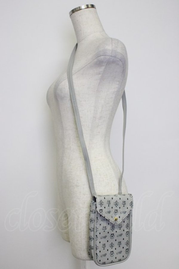 画像1: Fi.n.t / オリジナルスマホショルダー  グレー T-26-02-25-013-CA-BG-OW-ZT (1)