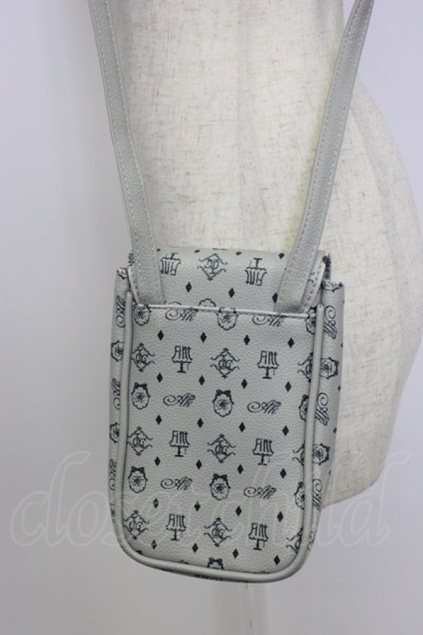 画像3: Fi.n.t / オリジナルスマホショルダー  グレー T-26-02-25-013-CA-BG-OW-ZT (3)