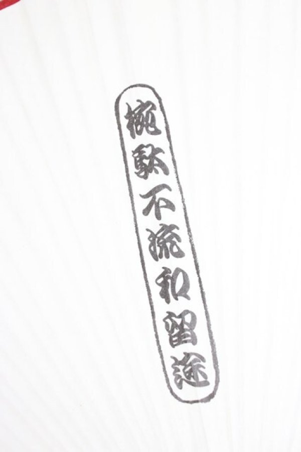 画像3: WONDERFUL WORLD / うちわセット   T-26-02-28-061-LO-ZA-SA-ZT (3)