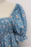 画像3: Candy Stripper / TINY DAISY PUFF SLEEVE DRESS 2 青Ｘ白 T-26-03-06-042-PU-OP-SA-ZT (3)