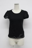 画像1: Jane Marple / レース半袖カットソー  黒 T-26-03-07-041-JM-TO-SA-ZT (1)