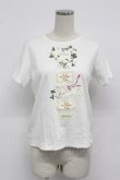 画像1: PINK HOUSE / White Cloverリース＆sleeping rabbitプリントカットソー  白 T-26-03-07-009-LO-TO-SA-ZT (1)