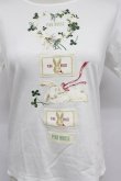 画像5: PINK HOUSE / White Cloverリース＆sleeping rabbitプリントカットソー  白 T-26-03-07-009-LO-TO-SA-ZT (5)