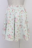 画像2: Swankiss / 薔薇柄フェイクガータースカート  ミント T-26-03-08-039-CA-SK-SA-ZT (2)