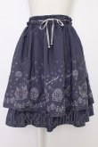 画像1: axes femme / 夜空刺繍スカート  紺Ｘシルバー T-26-03-08-042-AX-SK-SA-ZT (1)