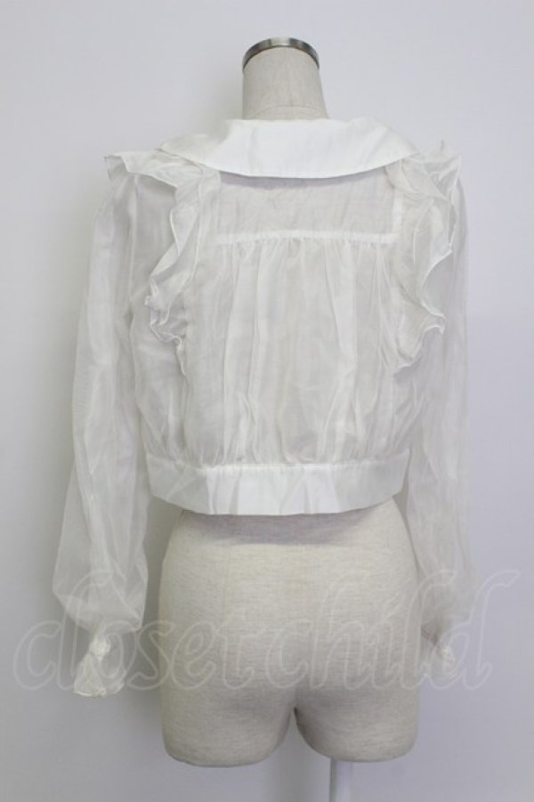 画像2: axes femme POETIQUE / シアー×チュールブルゾン M キナリ T-26-03-13-001-AX-TO-SA-ZT (2)