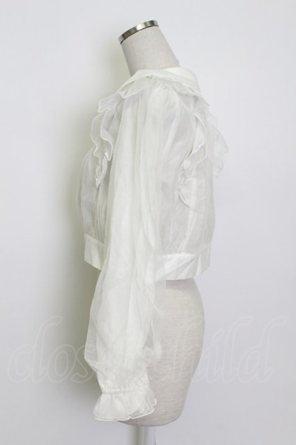 画像3: axes femme POETIQUE / シアー×チュールブルゾン M キナリ T-26-03-13-001-AX-TO-SA-ZT (3)