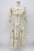 画像1: MILK / ブーケdress  アイボリー T-26-03-14-015-ML-OP-SA-ZT (1)