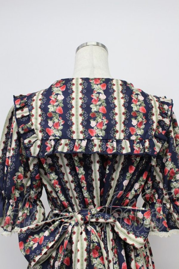 画像5: axes femme kawaii / ローズベリーガーデンワンピース M ネイビー T-26-03-16-031-AX-OP-SA-ZT (5)