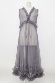 画像1: axes femme / レイヤード用チュールワンピース  グレー T-26-03-17-034-AX-OP-SA-ZT (1)