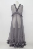 画像2: axes femme / レイヤード用チュールワンピース  グレー T-26-03-17-034-AX-OP-SA-ZT (2)