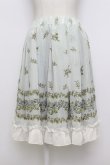 画像1: axes femme / 薔薇プリントシフォンスカート  ミント T-26-03-23-032-AX-SK-SZ-ZT (1)