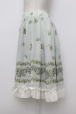 画像3: axes femme / 薔薇プリントシフォンスカート  ミント T-26-03-23-032-AX-SK-SZ-ZT (3)