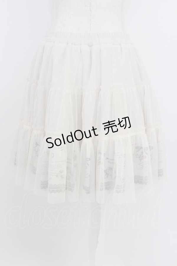 画像2: axes femme / アンティークプリントチュールボリュームスカート M キナリ T-26-03-24-040-AX-SK-SA-ZT (2)