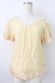 画像1: axes femme / レース半袖カットソー  アイボリー T-26-03-25-004-AX-TO-SA-ZT (1)
