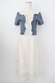 画像1: axes femme / 裾チュール刺繍ワンピース  ネイビーＸアイボリー T-26-03-25-034-AX-OP-SA-ZT (1)