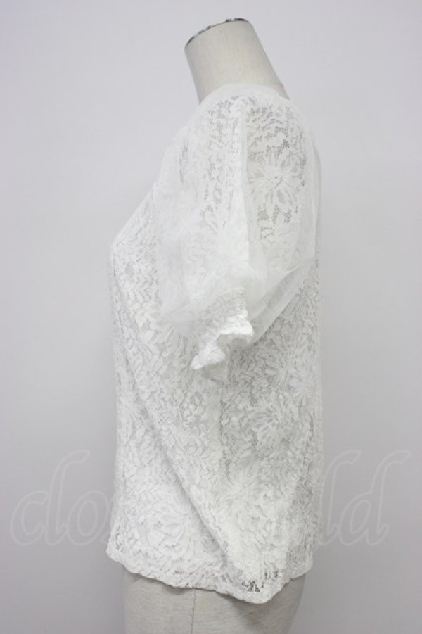 画像3: axes femme / チュール袖総レーストップス  ホワイト T-26-03-30-021-AX-TO-SA-ZT (3)