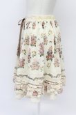 画像3: axes femme / 転写風ローズブーケスカート  キナリ T-26-03-31-020-AX-SK-SZ-ZT (3)