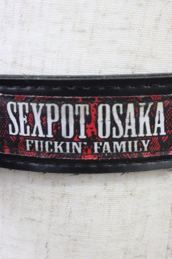 画像5: SEX POT ReVeNGe / チェーン付きスタッズベルト  黒ｘシルバー T-26-04-04-027-SP-ZA-SA-ZT (5)