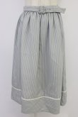画像1: Fi.n.t / コットンレース使いストライプスカート  グレーＸ白 T-26-04-04-015-CA-SK-SA-ZT (1)