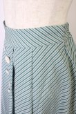 画像4: Fi.n.t / キャンディストライプダブル釦スカート  ミント T-26-04-04-016-CA-SK-SA-ZT (4)