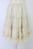 画像1: Jane Marple / レースペチコート  アイボリー T-26-04-10-024-JM-SK-SA-ZT (1)