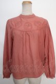 画像1: an another angelus / バラ刺繍ブラウス F ピンク Y-24-05-18-042-CA-BL-SZ-ZT101 (1)