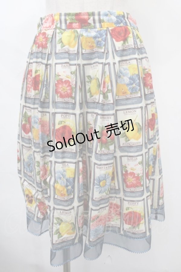 画像1: Jane Marple / Seeds of hopeのタックスカート M ブルーグレイ Y-24-09-15-127-JM-SK-SZ-ZT341 (1)