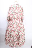 画像2: Jane Marple /Strawberry gardenティアードドレス M オフホワイト Y-24-12-09-031-JM-OP-SZ-ZI (2)