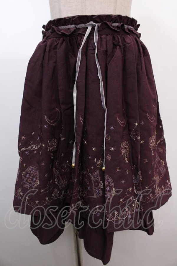 画像1: axes femme / 夜空刺繍スカート  パープル Y-25-01-22-201-AX-SK-SZ-ZT417 (1)