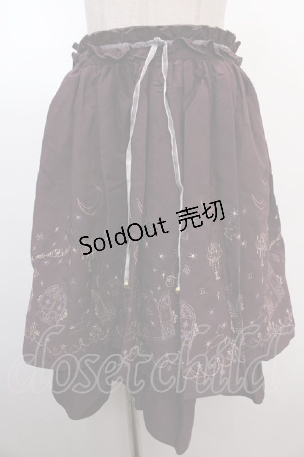 画像1: axes femme / 夜空刺繍スカート  パープル Y-25-01-22-201-AX-SK-SZ-ZT417 (1)