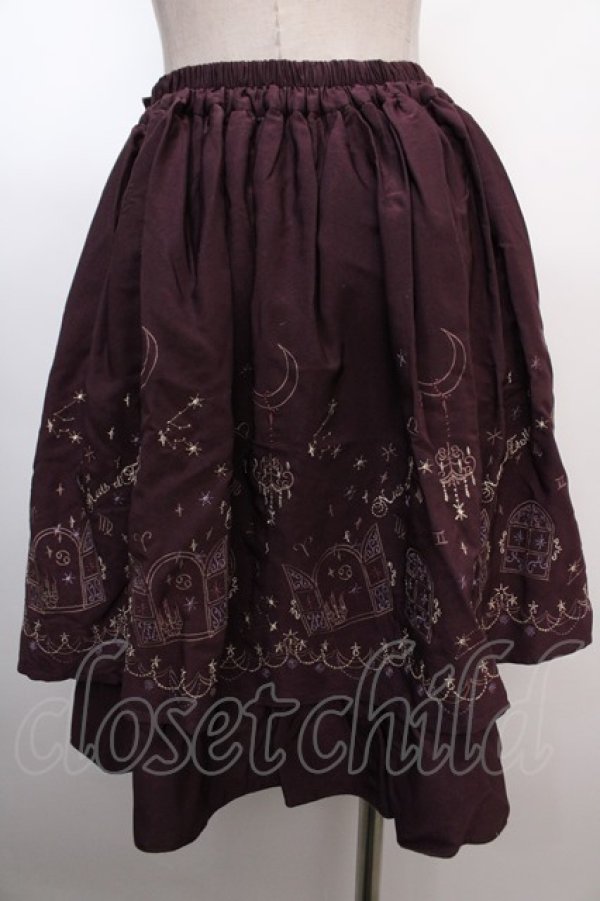 画像2: axes femme / 夜空刺繍スカート  パープル Y-25-01-22-201-AX-SK-SZ-ZT417 (2)