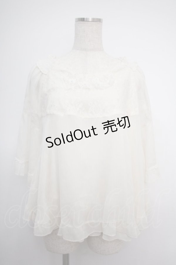 画像1: axes femme / フラワーレース半袖シフォントップス M 生成り Y-25-02-27-067-AX-TO-SZ-ZY (1)