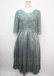 画像1: axes femme / チュール刺繍×プリーツドレス F グリーン Y-25-03-07-083-AX-OP-SZ-ZS (1)