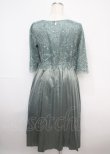 画像2: axes femme / チュール刺繍×プリーツドレス F グリーン Y-25-03-07-083-AX-OP-SZ-ZS (2)