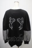 画像2: NieR Clothing / 袖シースルートップス F 黒 Y-25-03-10-117-PU-TO-SZ-ZY (2)